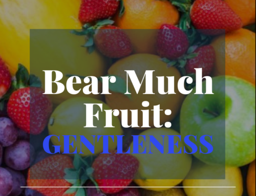 Bear Much Fruit By the Spirit of God – Gentleness